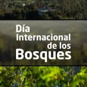 Día Internacional de los Bosques
