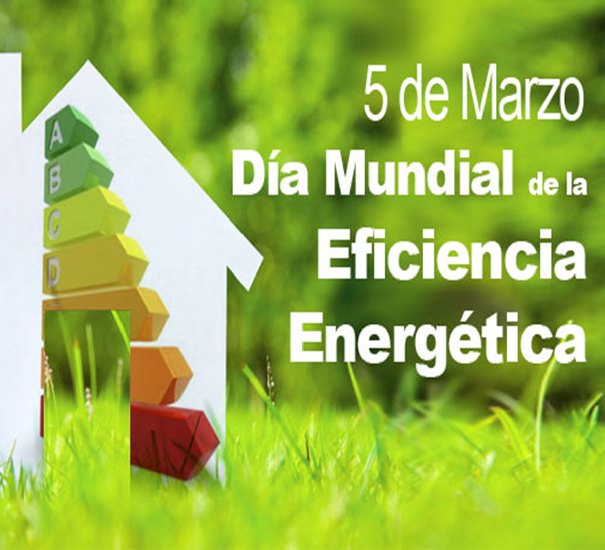 Día Mundial de la Eficiencia Energética