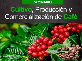 Cultivo, Produccion y Comercializacion de Cafe