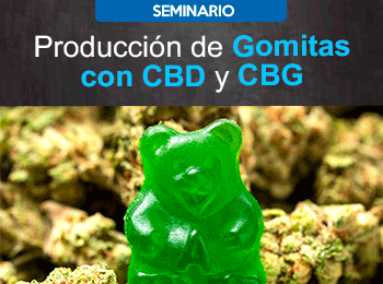 Produccion de Gomitas con CBD y CBG