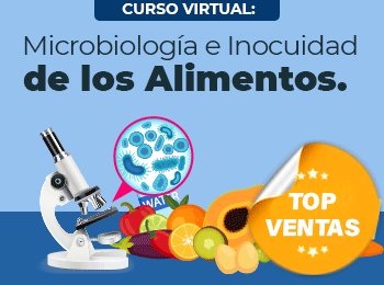 Microbiologia e Inocuidad de los Alimentos