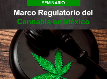 Marco Regulatorio del Cannabis en Mexico