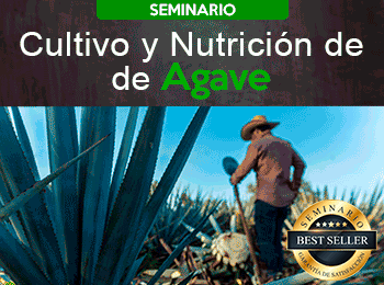 Cultivo y Nutricion de Agave