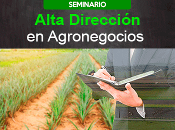 Alta Direccion en Agronegocios