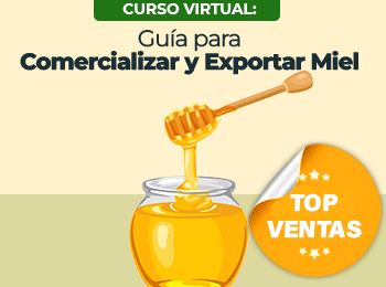 Guia para Comercializar y Exportar Miel