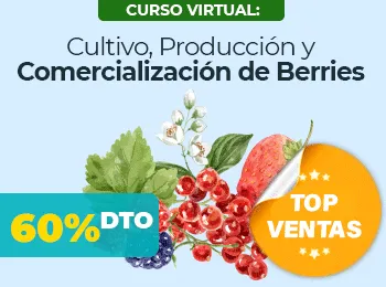 Cultivo Produccion y Comercializacion de Berries