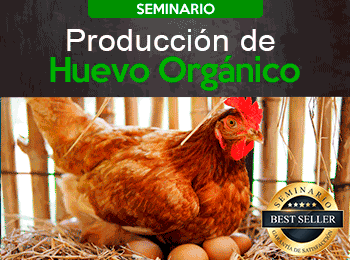 Produccion de Huevo Organico