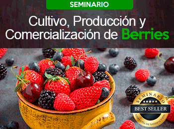Cultivo, Produccion y Comercializacion de Berries