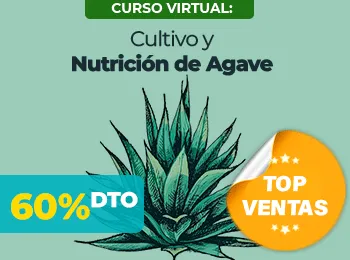 Cultivo y Nutricion de Agave