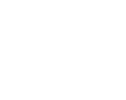 GFSI