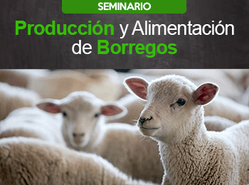 Produccion y Alimentacion de Borregos