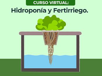 Hidroponia y Fertirriego