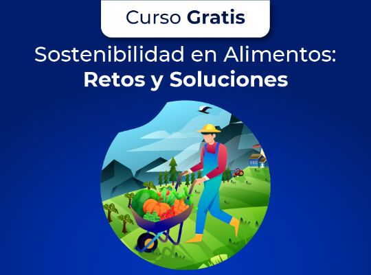 Sostenibilidad en Alimentos: Retos y Soluciones