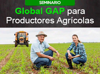 Global Gap para Frutas y Hortalizas