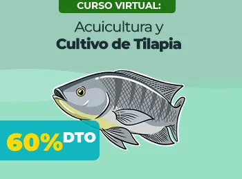 Acuicultura y Cultivo de Tilapia