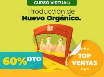Produccion de Huevo Organico