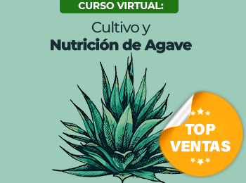 Cultivo y Nutricion de Agave