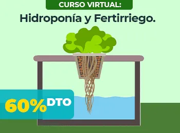 Hidroponia y Fertirriego
