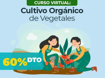 Cultivo Organico de Vegetales