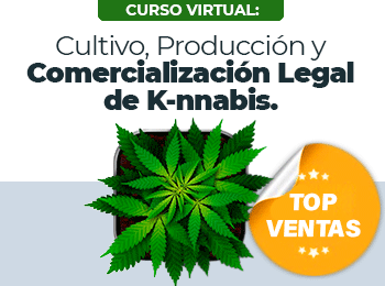 Cultivo Produccion y Comercializacion Legal de K-nnabis